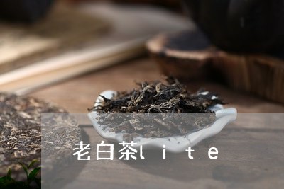 老白茶lite/2023060964027