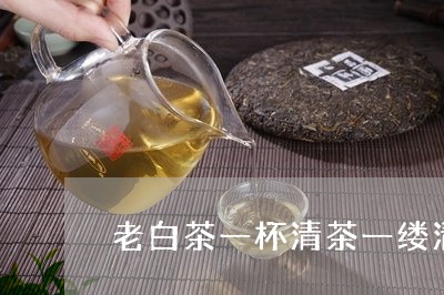 老白茶一杯清茶一缕清香/2023110385260