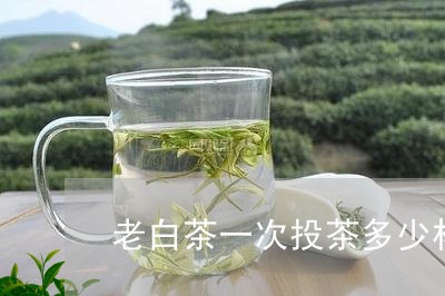 老白茶一次投茶多少杯最好/2023042786261