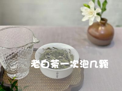 老白茶一次泡几颗/2023071263917