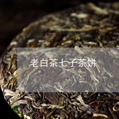 老白茶七子茶饼/2023060907168