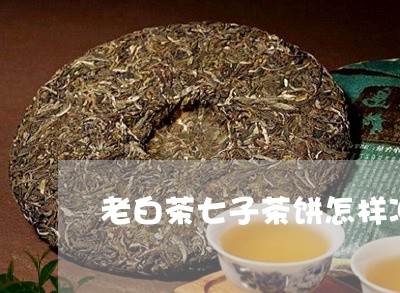 老白茶七子茶饼怎样冲泡/2023110337369