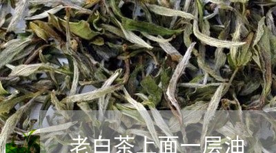 老白茶上面一层油/2023071274038