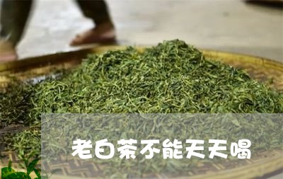 老白茶不能天天喝/2023071274705