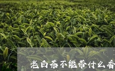 老白茶不能带什么香料进去/2023111029486