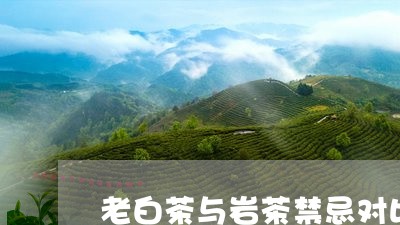 老白茶与岩茶禁忌对比图/2023110364240