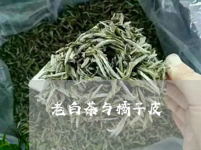 老白茶与橘子皮/2023060989582