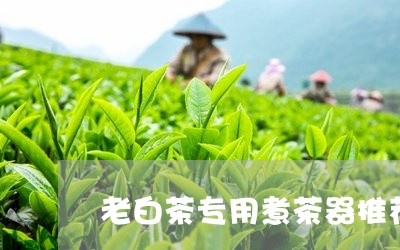 老白茶专用煮茶器推荐/2023111049703