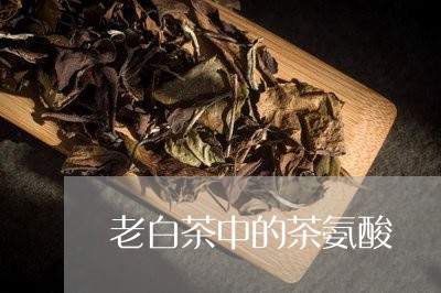 老白茶中的茶氨酸/2023071340401