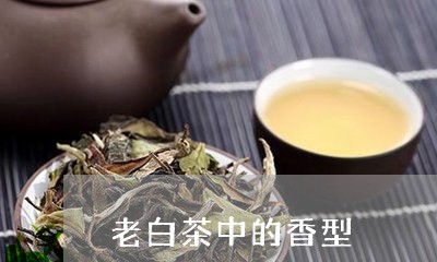 老白茶中的香型/2023060933049