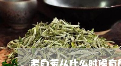 老白茶从什么时候有的茶饼/2023111561615