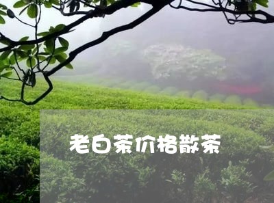 老白茶价格散茶/2023060939515