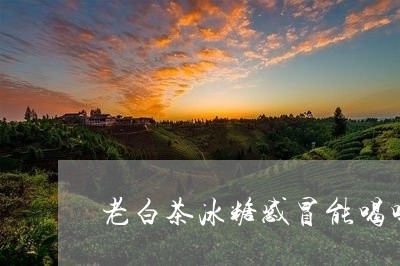 老白茶冰糖感冒能喝吗宝宝/2023042749372