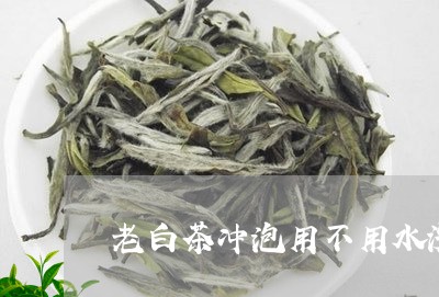 老白茶冲泡用不用水洗茶/2023110239363