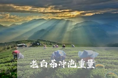 老白茶冲泡重量/2023060936150