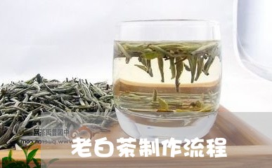 老白茶制作流程/2023060986047