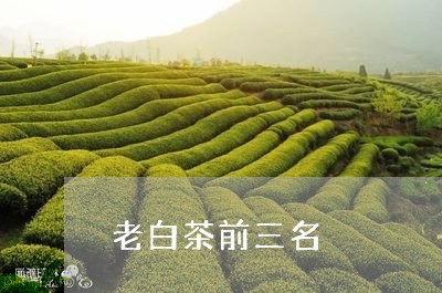 老白茶前三名/2023052305938