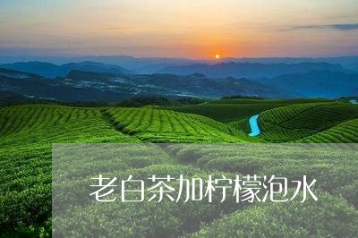 老白茶加柠檬泡水/2023071241940