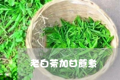 老白茶加甘蔗煮/2023060949483