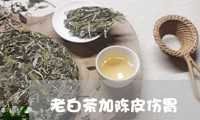 老白茶加陈皮伤胃/2023063084948