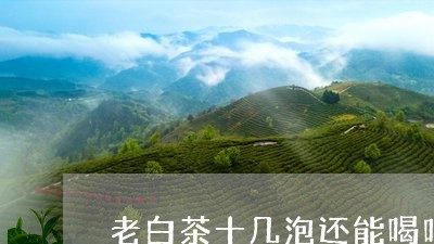 老白茶十几泡还能喝吗/2023042719926