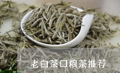 老白茶口粮茶推荐/2023070881805