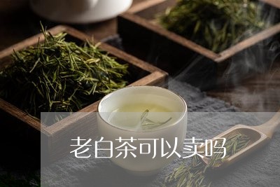 老白茶可以卖吗/2023060927148