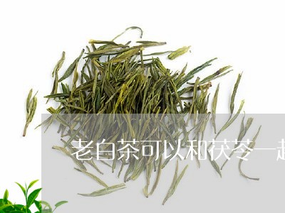 老白茶可以和茯苓一起煮吗/2023111000536