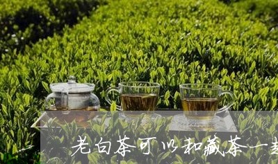 老白茶可以和藏茶一起煮吗/2023042783847