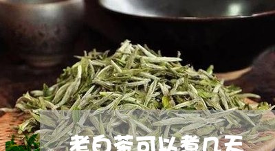 老白茶可以煮几天/2023070703713