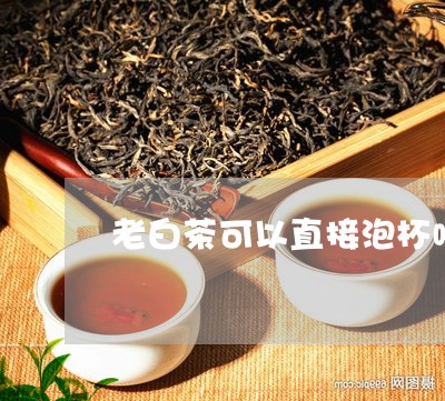 老白茶可以直接泡杯喝吗/2023110280682