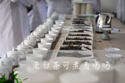 老白茶可煮着喝吗/2023071226151