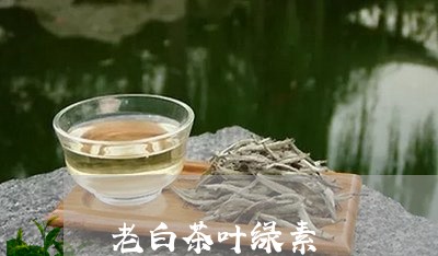 老白茶叶绿素/2023052391746