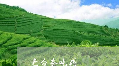 老白茶吃药/2023051158604