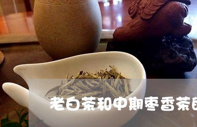 老白茶和中期枣香茶的区别/2023110980616