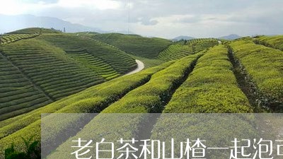 老白茶和山楂一起泡可以吗/2023111070615