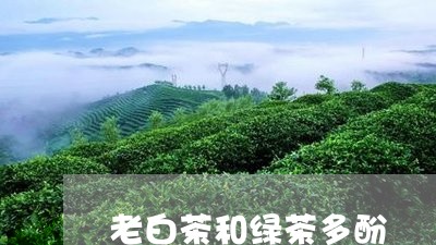 老白茶和绿茶多酚/2023070788473