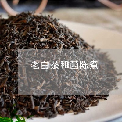 老白茶和茵陈煮/2023060983717