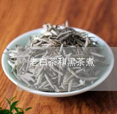 老白茶和黑茶煮/2023060925047