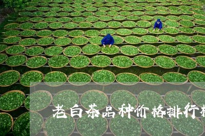 老白茶品种价格排行榜最新/2023111015249