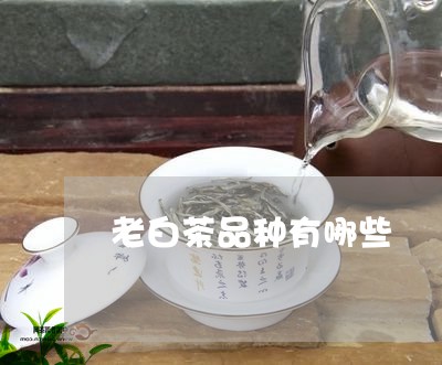 老白茶品种有哪些/2023070743925