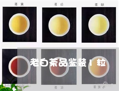 老白茶品鉴装1粒/2023073116150