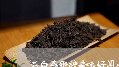 老白茶哪种香味好闻点呢/2023110228360