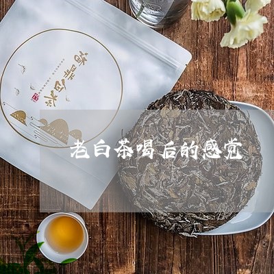 老白茶喝后的感觉/2023071274727