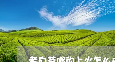 老白茶喝的上火怎么办呀/2023082608614