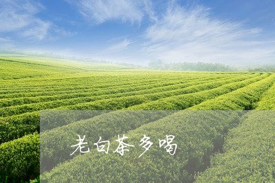 老白茶多喝/2023082539460