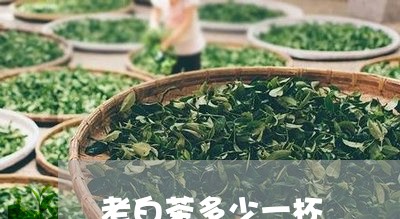 老白茶多少一杯/2023082531126