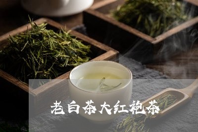 老白茶大红袍茶/2023060953836