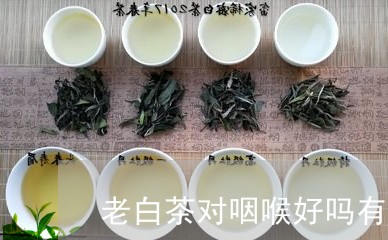 老白茶对咽喉好吗有好处吗/2023042741736