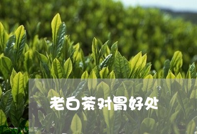 老白茶对胃好处/2023060971613